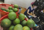 Ngại mua hàng trực tuyến vì sợ sản phẩm kém chất lượng